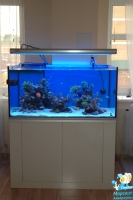 Морской аквариум на 600 литров (123х78х60 см).