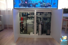 Морской аквариум на 600 литров (123х78х60 см). Тумба с оборудованием